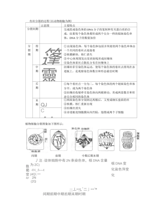 (完整版)有丝分裂和减数分裂的过程和图像