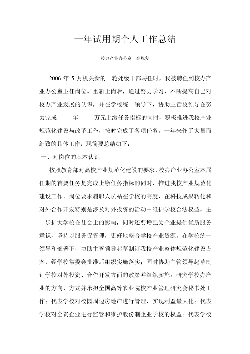 一年试用期个人工作总结_第1页