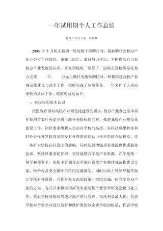 一年试用期个人工作总结