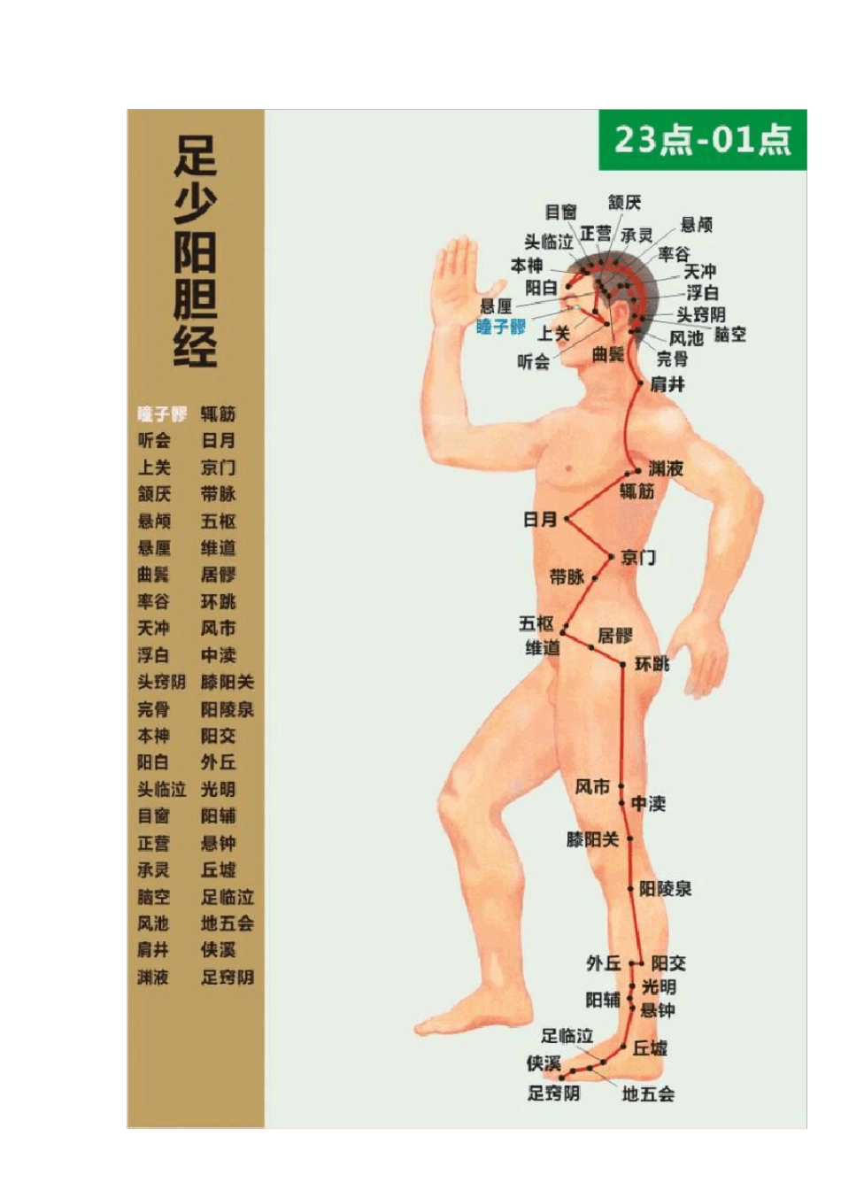 一文读懂十四经络,各种不适一目了然!完整高清动图,所有穴位都在!_第3页