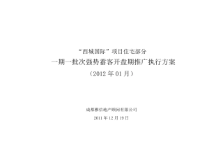 一期一批次强势蓄客开盘期推广执行计划(最终版)