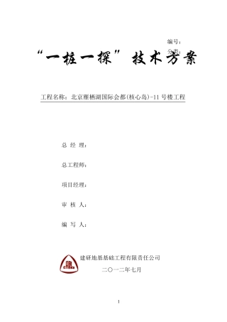 一桩一探方案