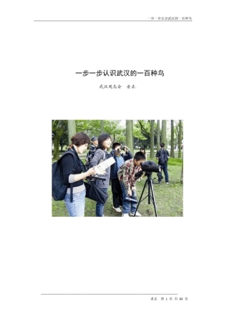 一步一步认识武汉的一百种鸟