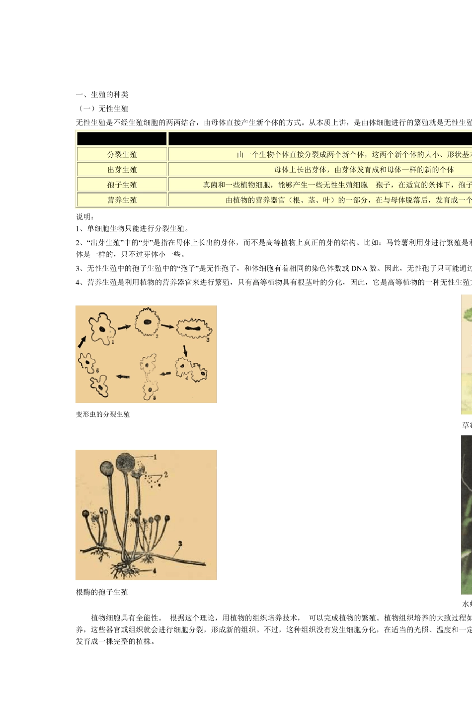一生殖的种类_第1页