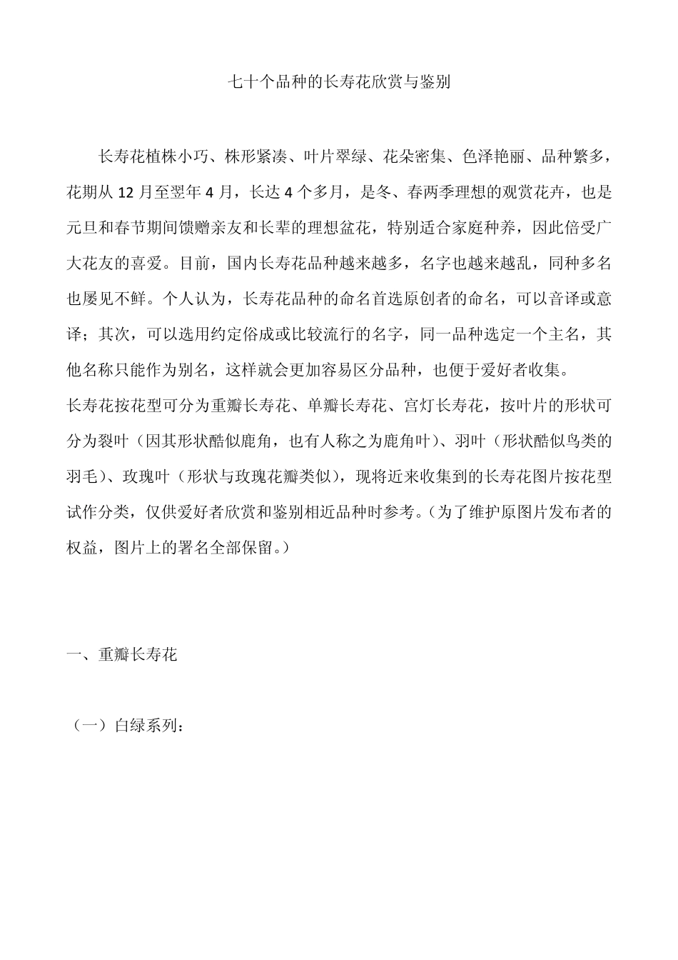 七十个品种的长寿花欣赏与鉴别_第1页