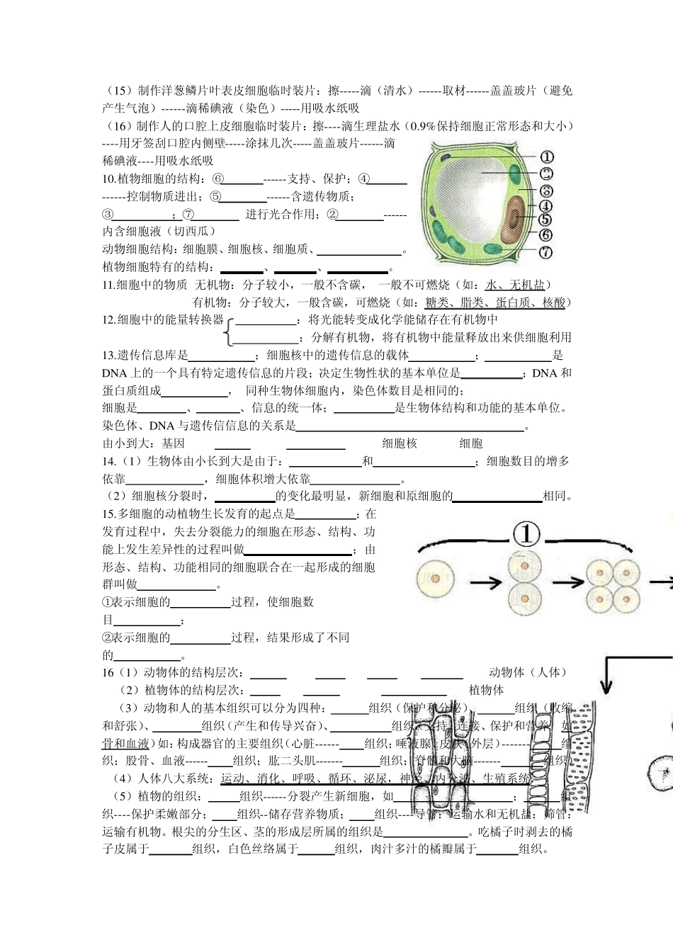 七年级上册生物复习资料(含题)~名师总结_第2页