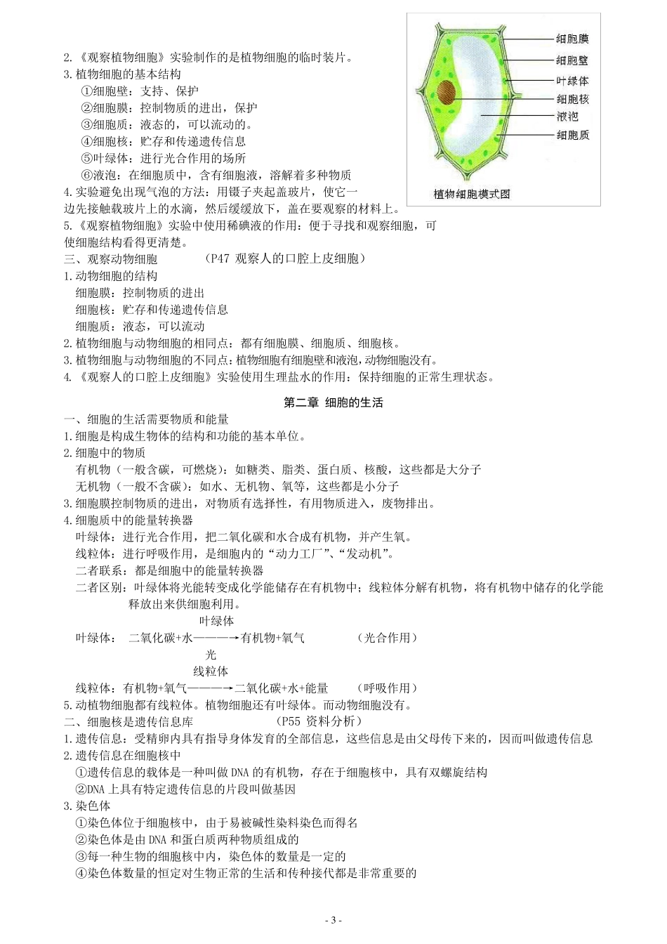 七年级上册生物复习资料_第3页