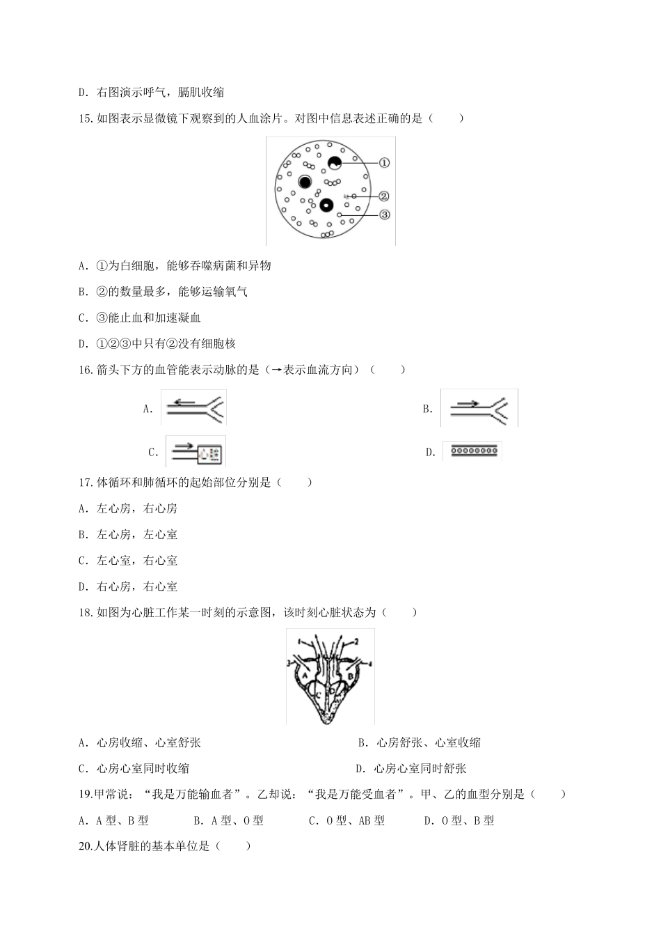 七年级下册生物《期末测试题》附答案解析_第3页
