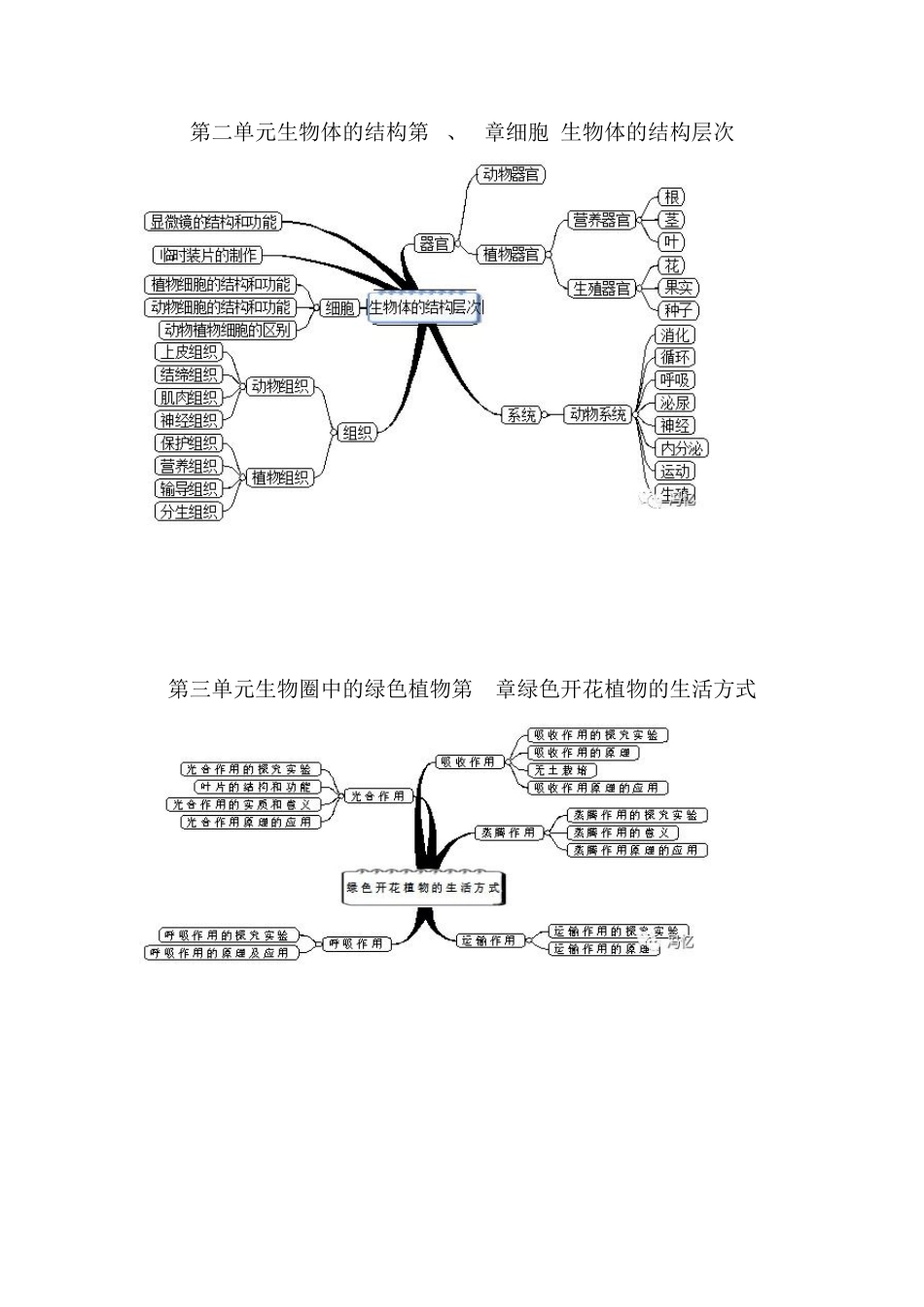 七年级下册生物思维导图_第2页
