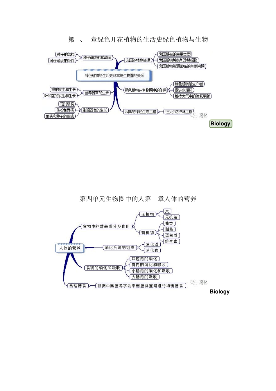 七年级下册生物思维导图_第3页