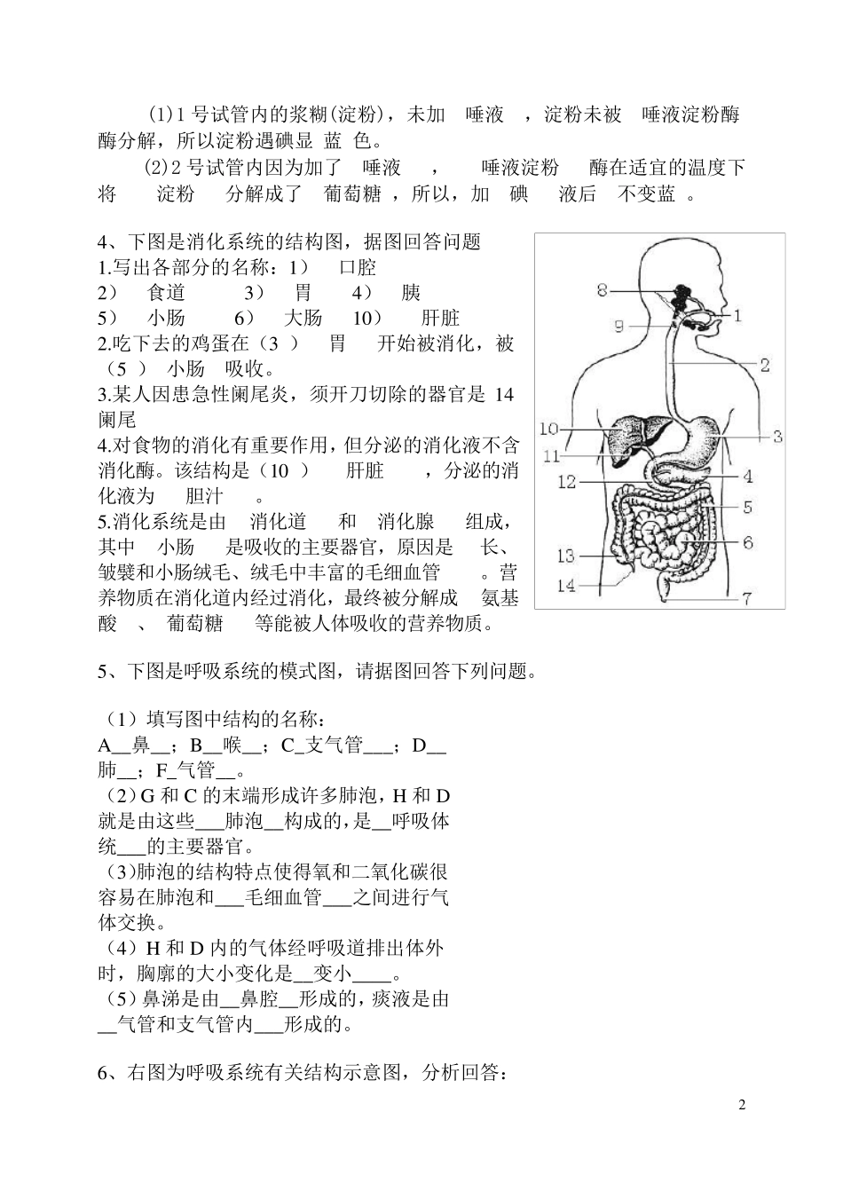 七年级下册生物识图题_第2页