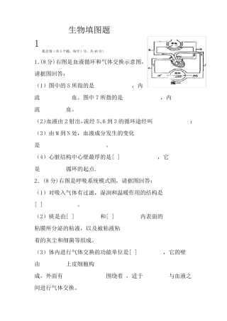 七年级下生物填图题
