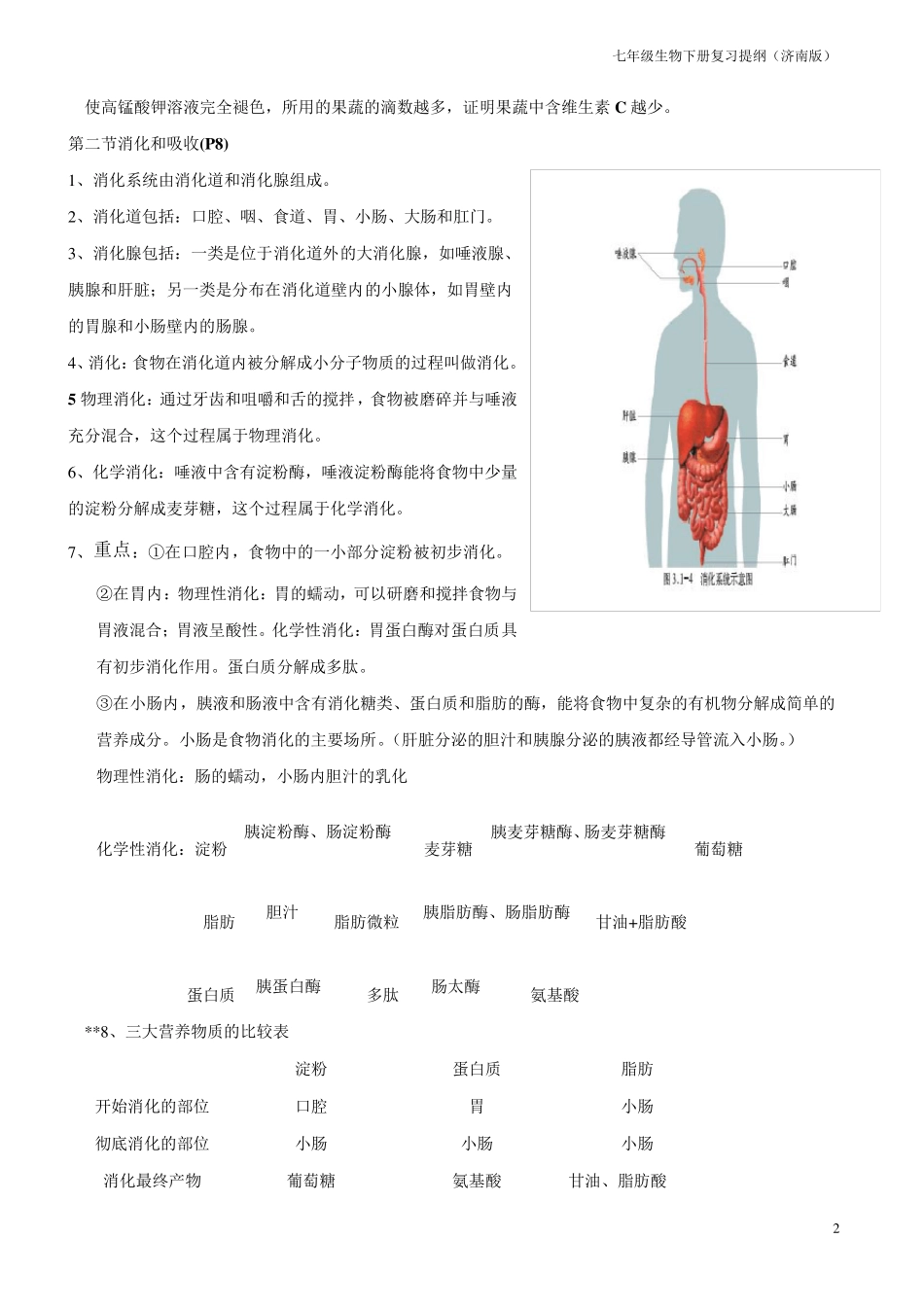 七年级生物下册知识点((济南版)_第2页