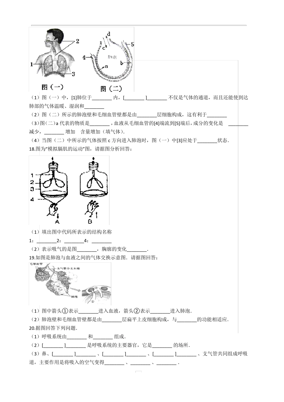 七年级生物下册第三章人体的呼吸测试题_第3页
