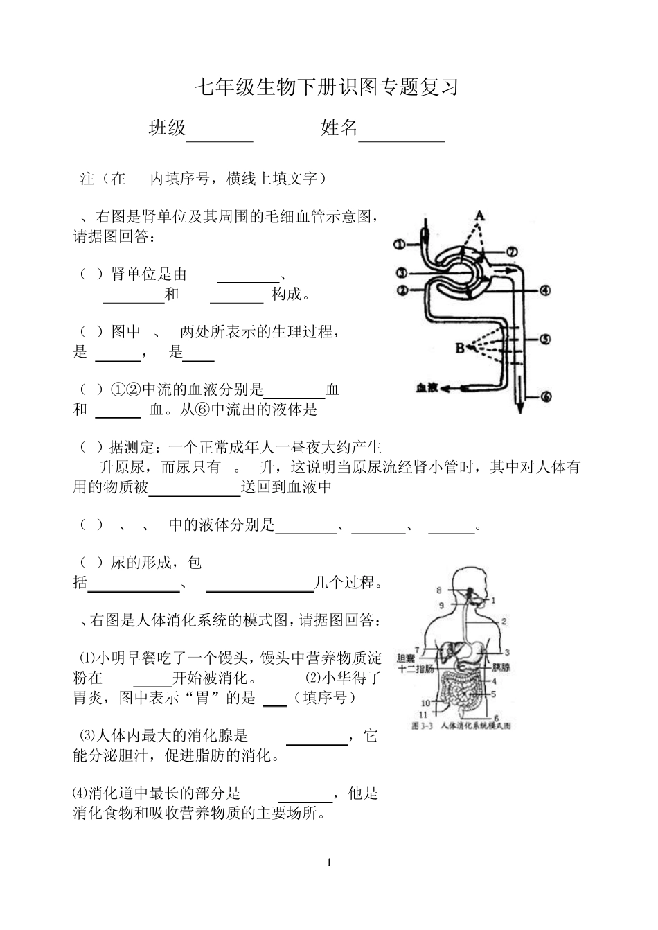 七年级生物下册识图专项练习_第1页