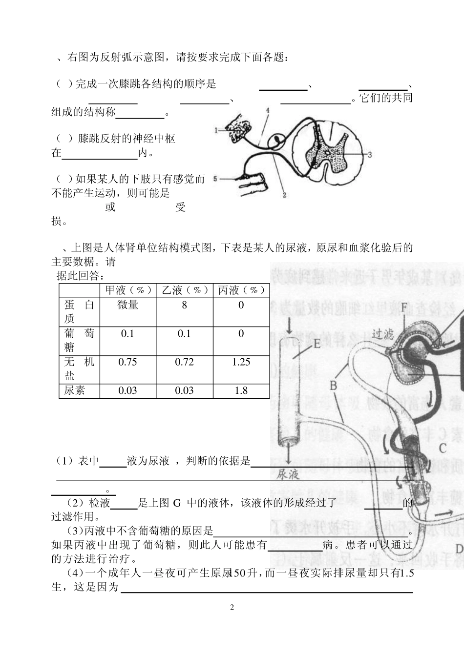 七年级生物下册识图专项练习_第2页