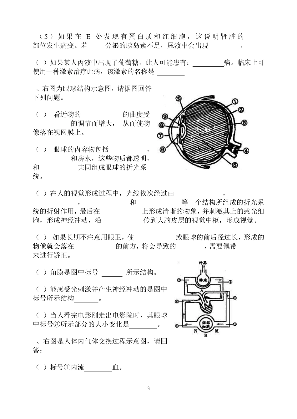 七年级生物下册识图专项练习_第3页