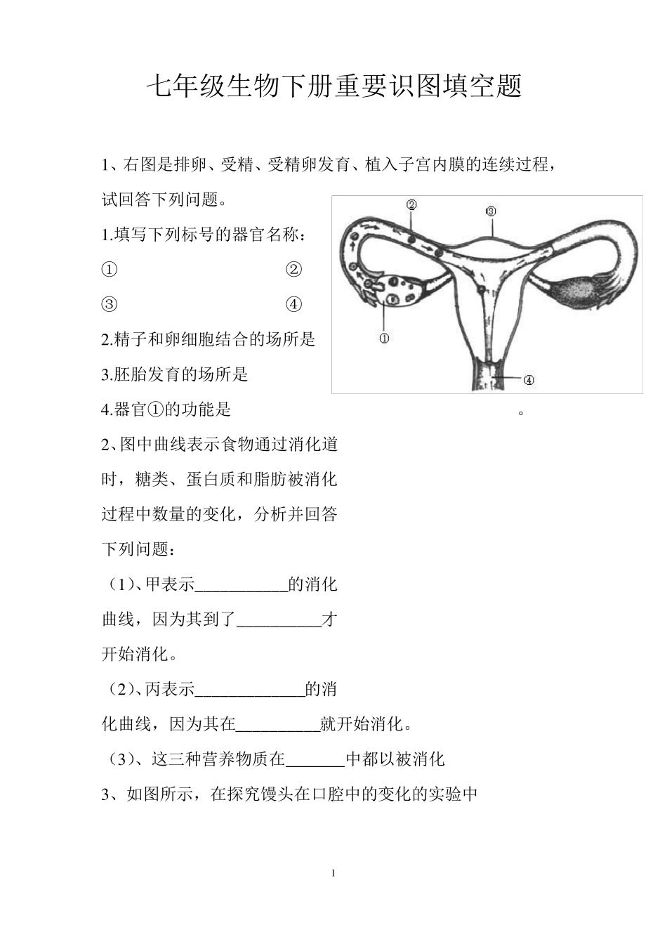 七年级生物下册重要识图填空题_第1页