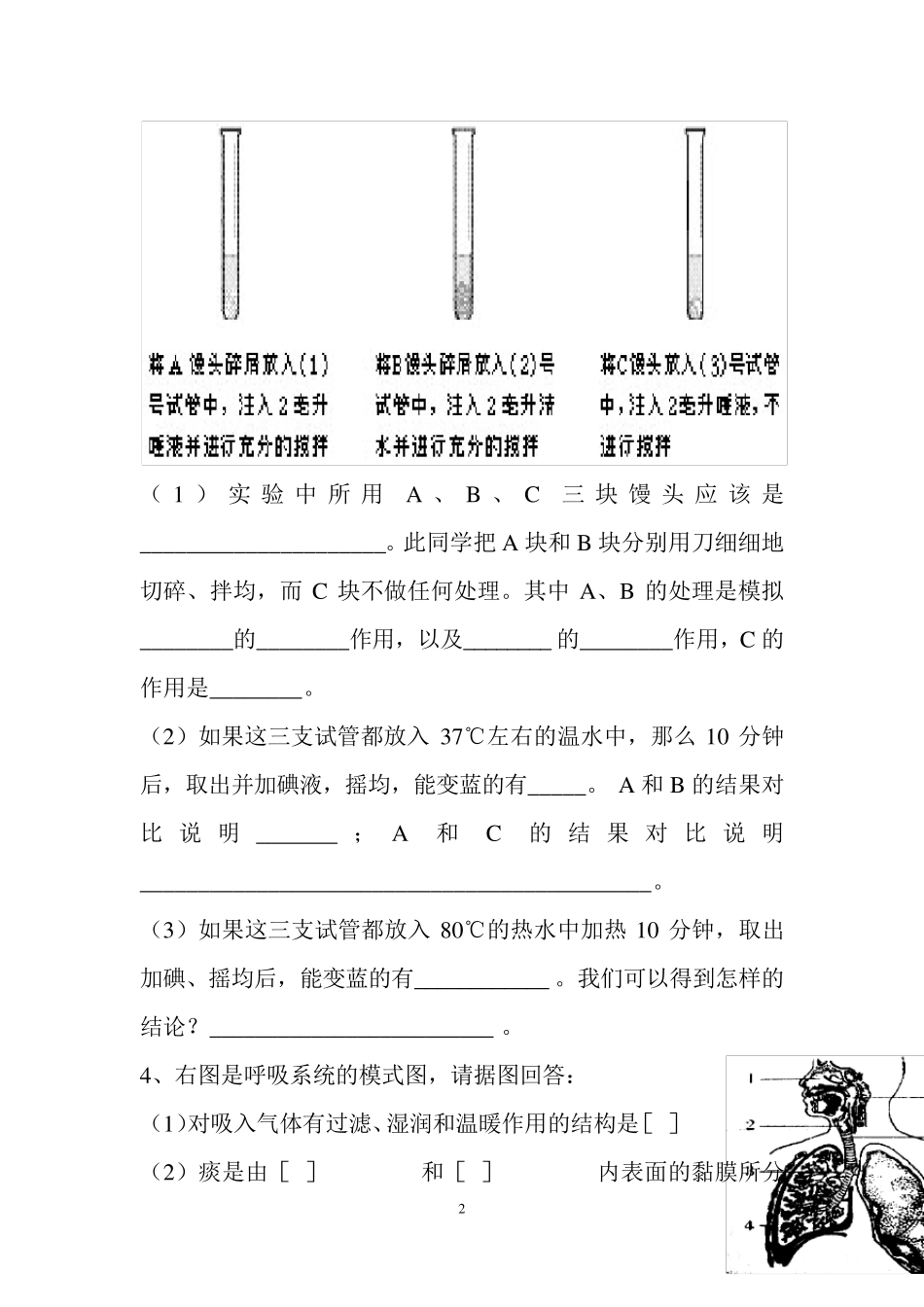 七年级生物下册重要识图填空题_第2页