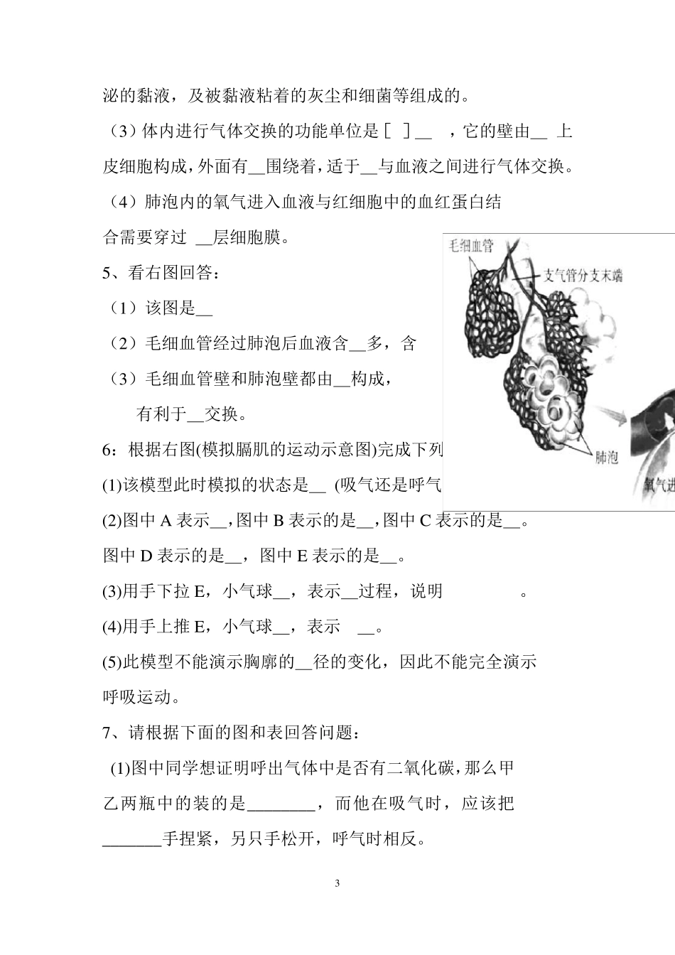 七年级生物下册重要识图填空题_第3页