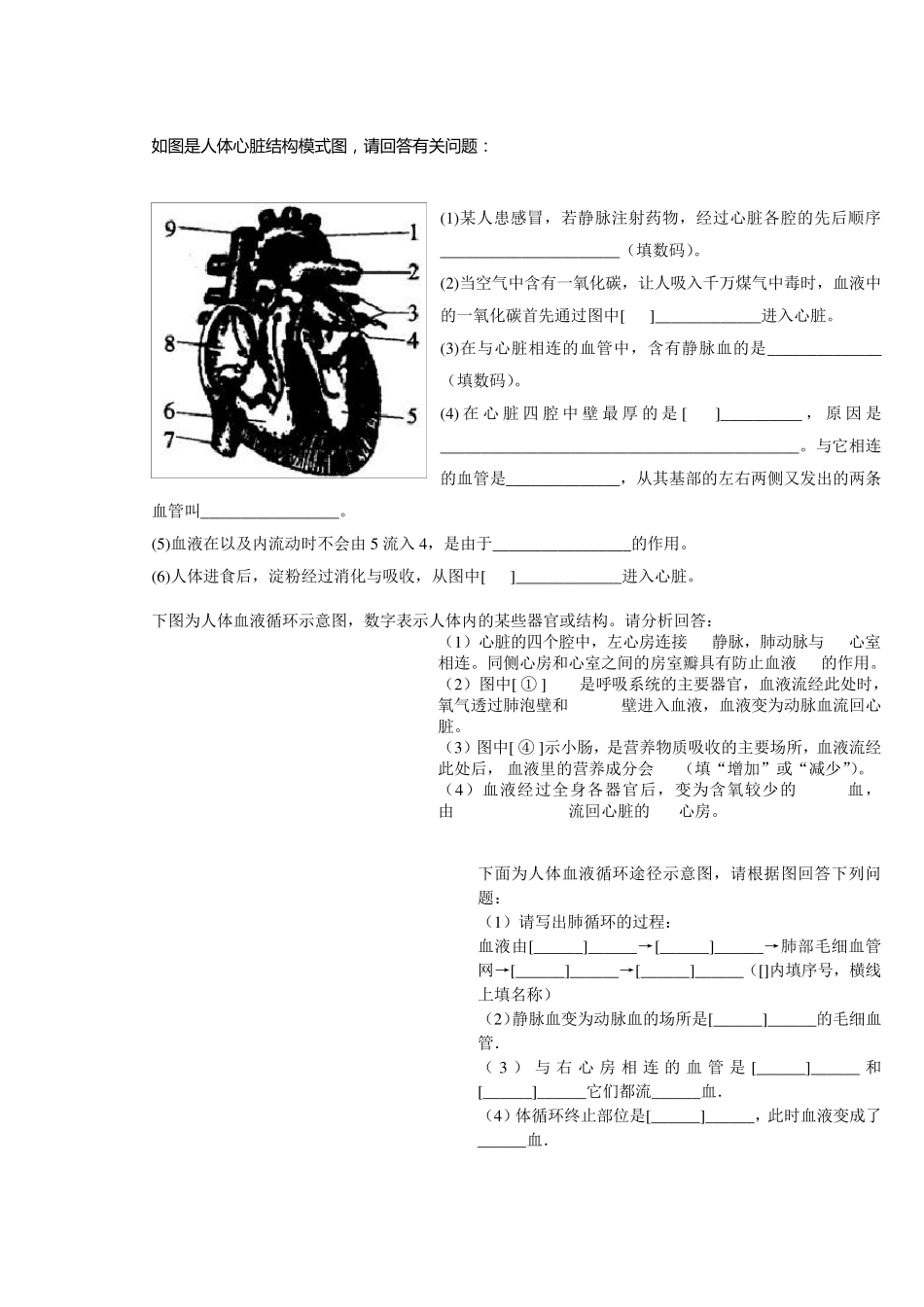 七年级生物下册识图题_第1页