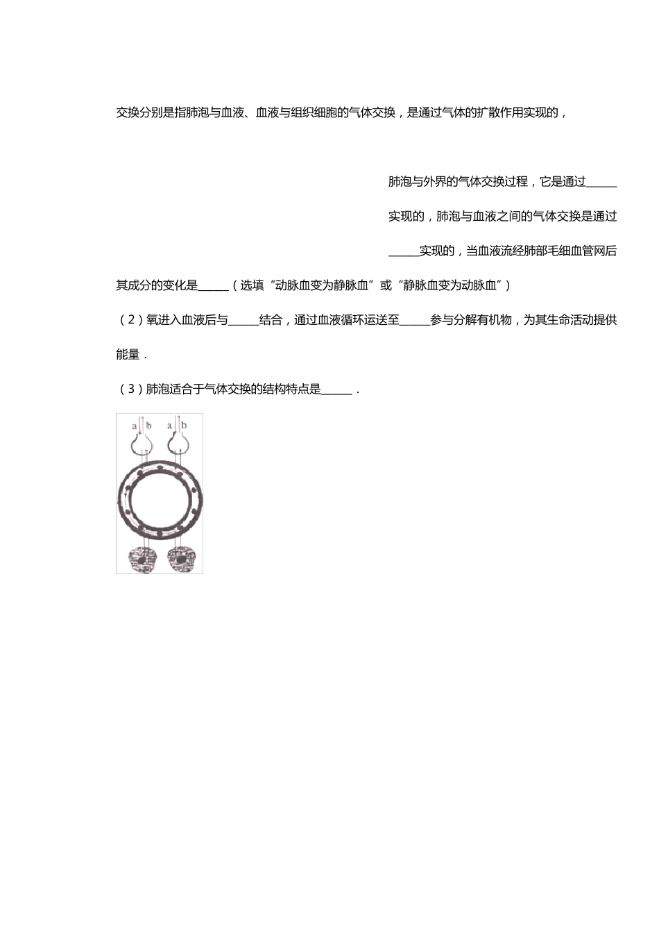 七年级生物下册识图题_第3页