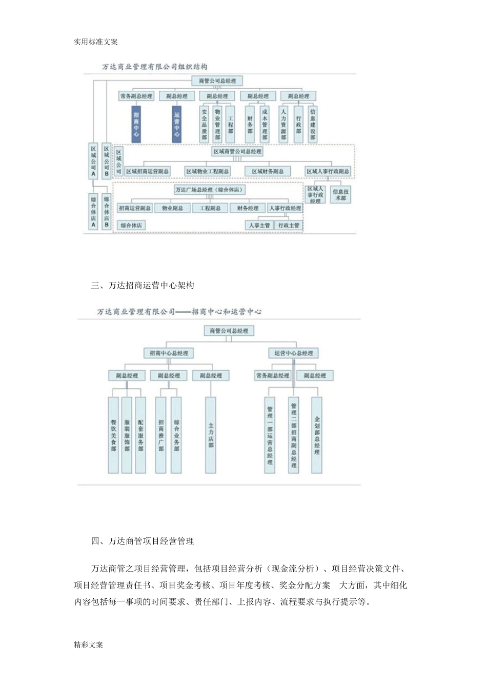万达商业管理系统模式_第2页