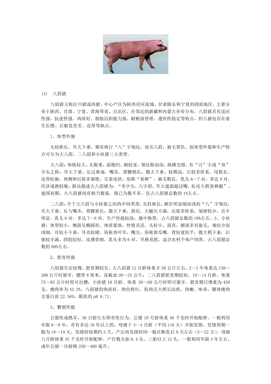 三、中国地方猪品种_第3页