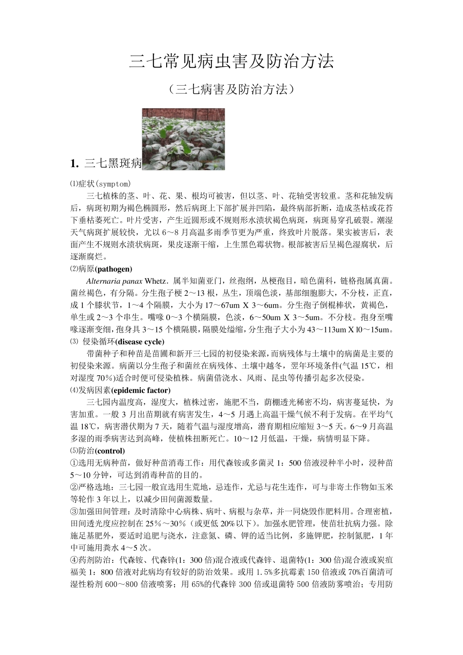 三七常见病虫害及其防治方法整理,非常全建仔整理的_第1页