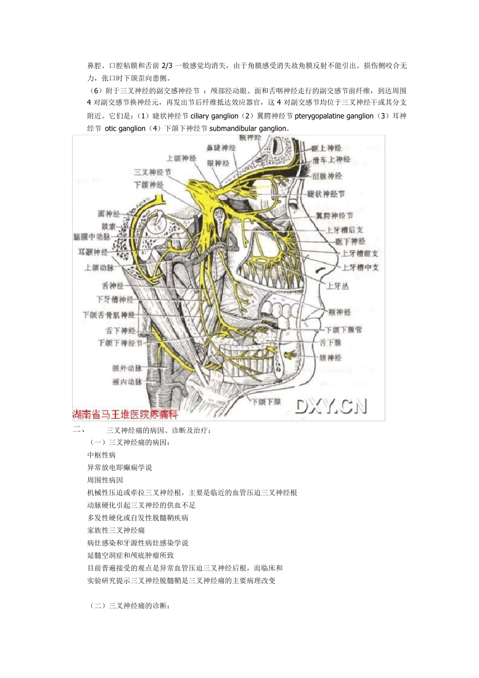 三叉神经的解剖_第2页