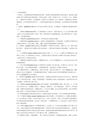 三叉神经的解剖