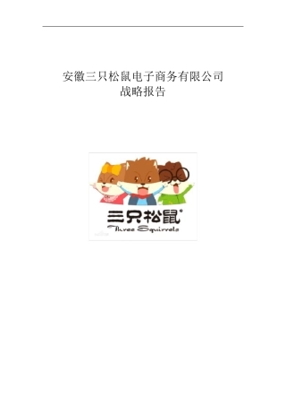 三只松鼠公司案例分析