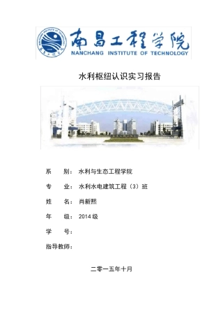 三峡大坝认识实习报告