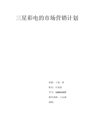 三星电子中国公司市场营销计划