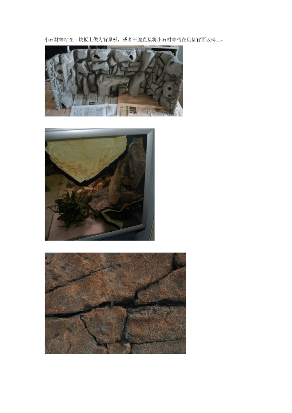 三湖鱼缸的造景_第2页