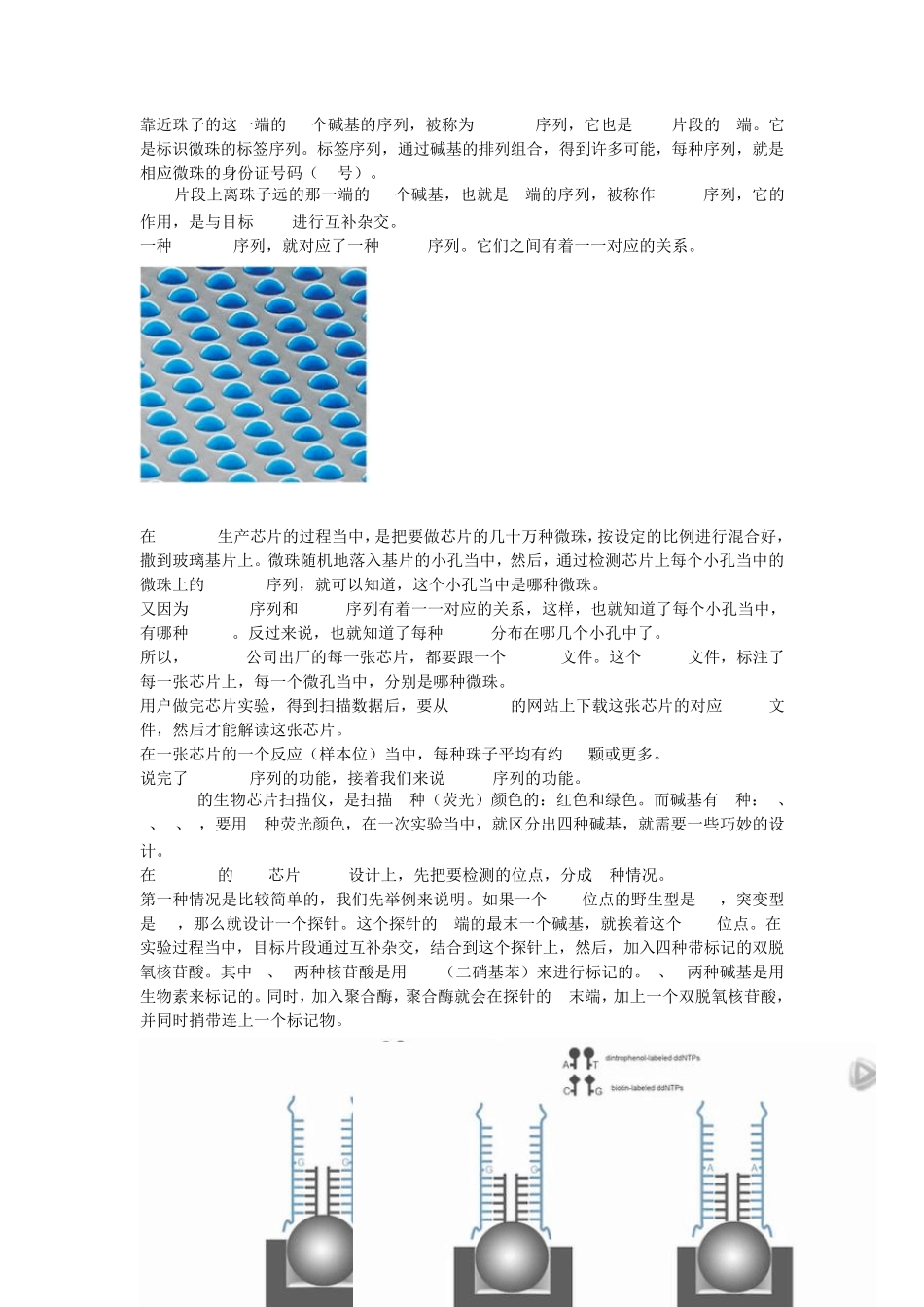 三种SNP芯片介绍_第2页
