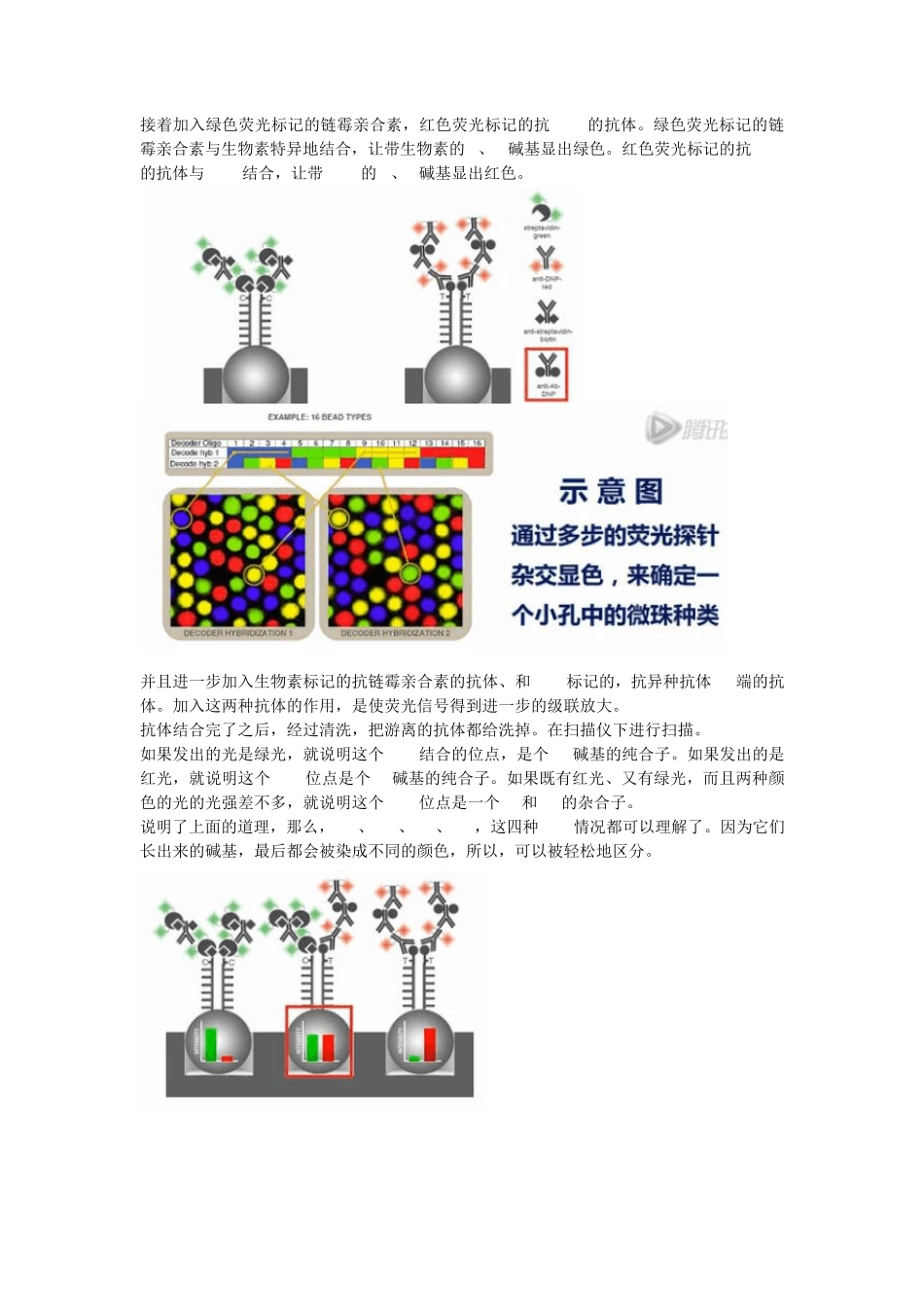 三种SNP芯片介绍_第3页