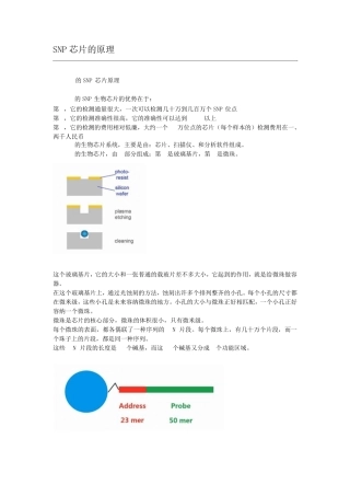 三种SNP芯片介绍