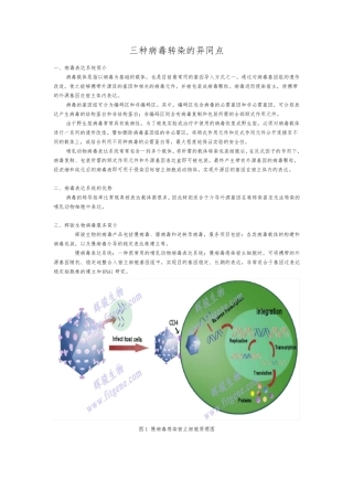 三种病毒转染的异同点