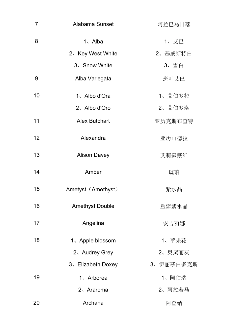 三角梅栽培品种中、英文名称对照表_第2页