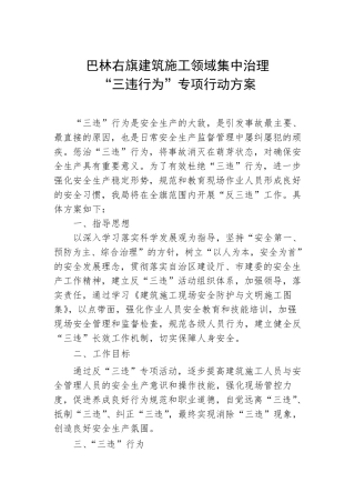 三违行为专项行动方案