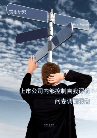 上市公司内部控制自我评价问卷调研报告