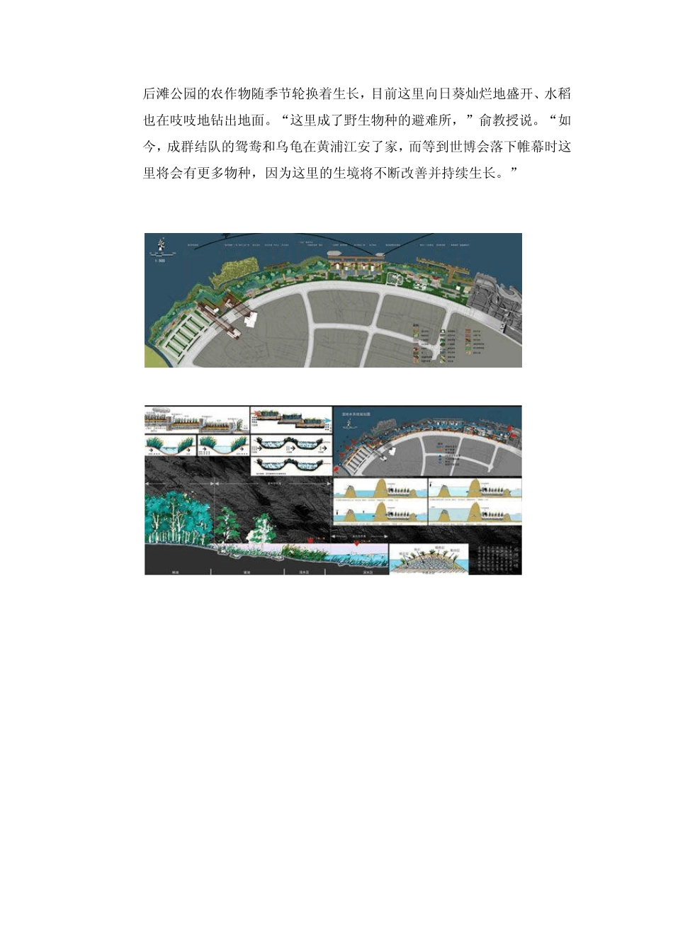 上海世博后滩湿地公园_第2页