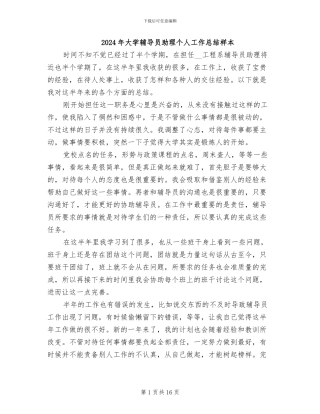 2024年大学辅导员助理个人工作总结样本