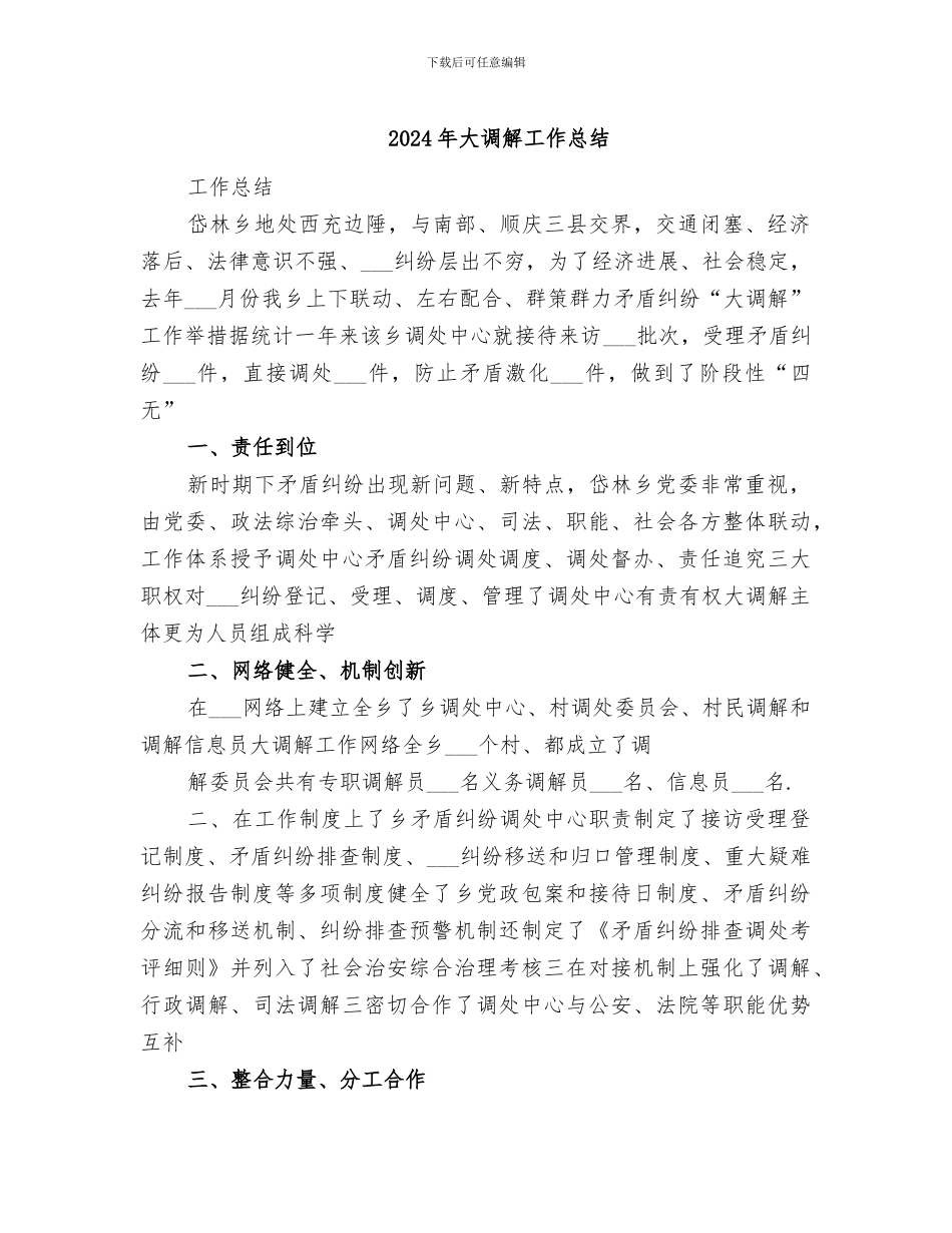 2024年大调解工作总结_第1页