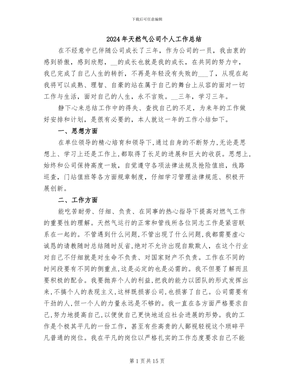 2024年天然气公司个人工作总结_第1页
