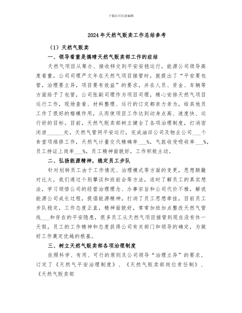 2024年天然气贩卖工作总结参考_第1页