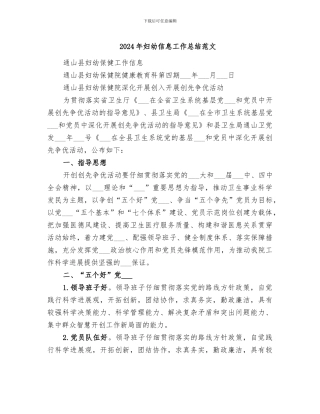 2024年妇幼信息工作总结范文