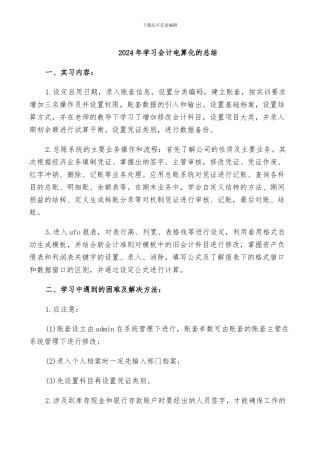 2024年学习会计电算化的总结