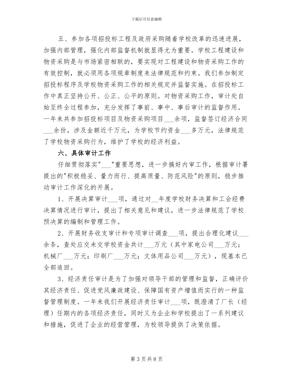 2024年学校审计工作总结_第3页